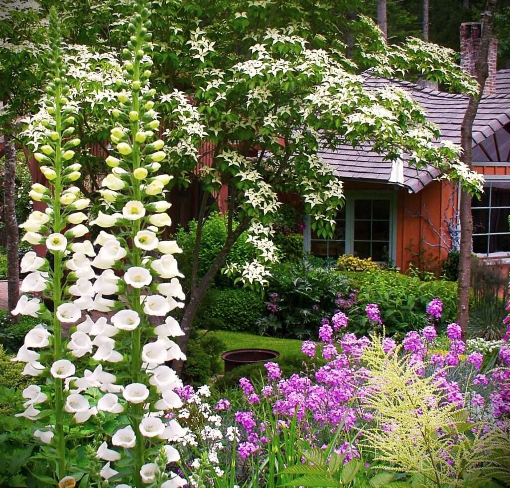 a cozy cottage tucked into a garden with tall white flowers and pink flowers close to the ground